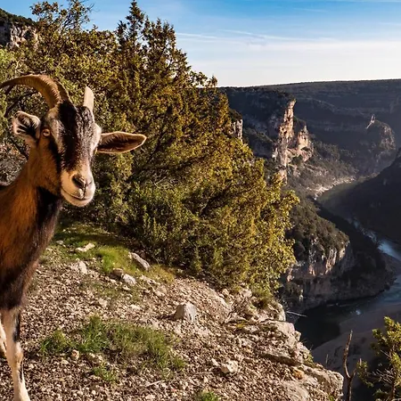 Le Chamaju